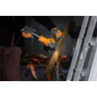 SAROKCSISZOLÓ 1000W 125MM NEO TOOLS