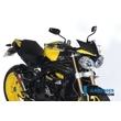 TRIUMPH SPEED TRIPLE PLEXI KARBON ILMBERGER