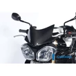 TRIUMPH SPEED TRIPLE PLEXI KARBON ILMBERGER